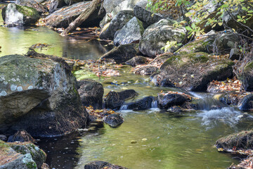 autumn along pearl hill brook