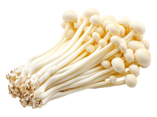 Scattered Enoki Mushrooms Isolated on White Background