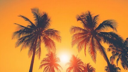Fototapeta premium Golden Hour Palms: Tropical Sunset Silhouette 