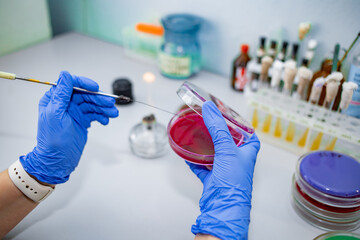 bacteriological research