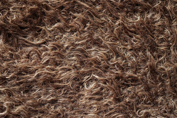 Burnt brown sheep fur texture background, fluffy sheep fur texture template, top view 