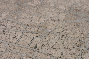 Obraz premium Intricate patterns on cracked ground showcasing drought conditions in a dry landscape