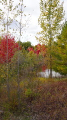 Fall Season in Ontario Canada
