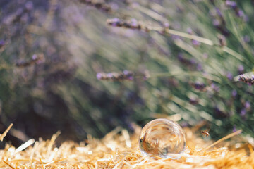 glass optical ball at sunset in the city in Ukraine