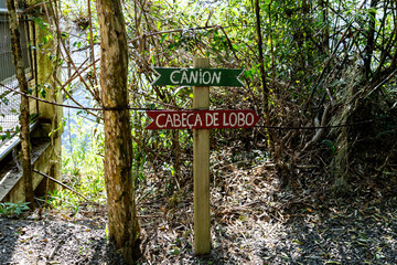 Natural wild landscape of the Atlantic Forest and Brazilian rainforest