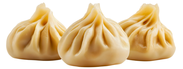 Plump dumpling in form, isolated traditional Chinese food view, meal with Japanese and delicious style, Asian through dough fresh