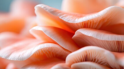 The image showcases delicately curved structures of pink mushrooms, emphasizing subtle details and textures that are both captivating and soothing.