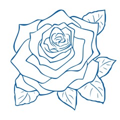 Beautiful rose silhouette