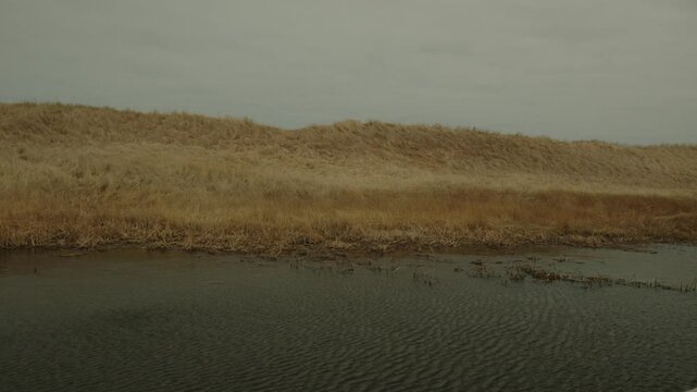 Sandd unes