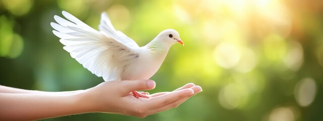 Peaceful celebration: a banner for World Peace Day, emphasizing unity, harmony, collective aspiration for global understanding, promoting a culture of peace and cooperation among nations.