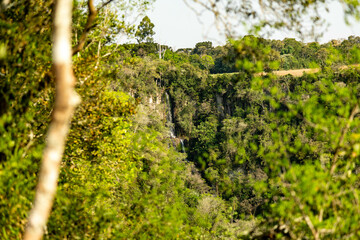 Natural wild landscape of the Atlantic Forest and Brazilian rainforest