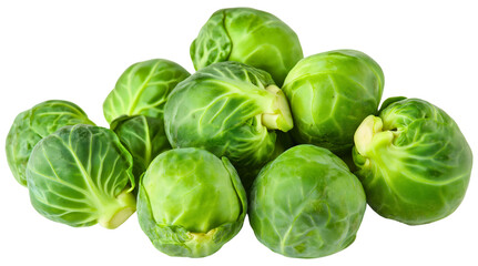 Fresh brussel sprout isolated, vibrant organic green vegetable, wholesome group agriculture plant, nutritious cabbage white ingredient, natural healthy harvest
