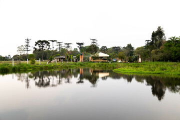 Natural wild landscape of the Atlantic Forest and Brazilian rainforest