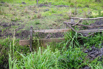 Natural wild landscape of the Atlantic Forest and Brazilian rainforest