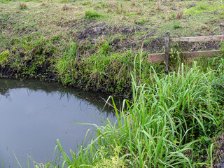 Natural wild landscape of the Atlantic Forest and Brazilian rainforest