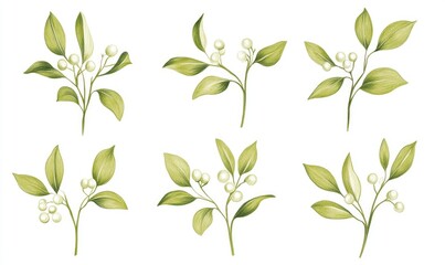 Fototapeta premium A set of six green leaves with white flowers