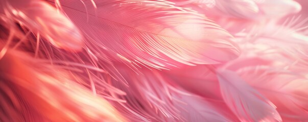 Pink feathers soft and cozy close up details