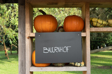 Pumpkin and gourd outdoor display