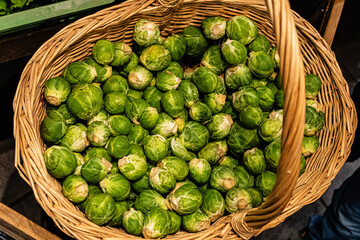 Apile of Brussels sprouts on a white background
