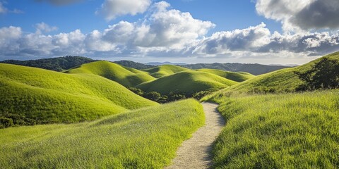 A beautiful summer scene with lush green hills and a path winding through them.