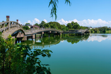 乙女が池に架かる太鼓橋