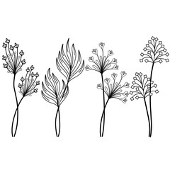 set of elements floral black and white hand drawn illustration