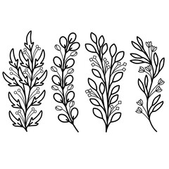 black and white floral element hand drawn vector illustration