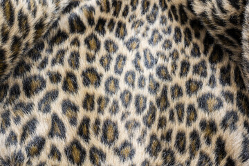 Abrigo de piel de leopardo vista de cerca, textura © KukiLadrondeGuevara