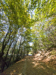 Autumn view of Vitosha Mountain, Bulgaria