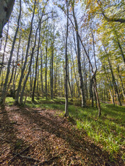 Autumn view of Vitosha Mountain, Bulgaria
