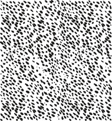 leopard pattern vector, animal print image