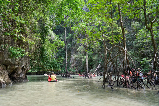 Mangrove cave at Panak island of Ao Phang Nga National Park, Thailand	
