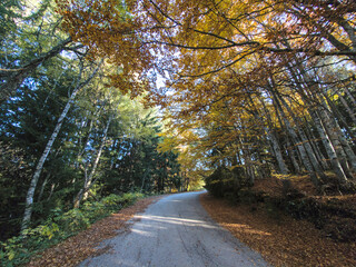 Autumn view of Vitosha Mountain, Bulgaria