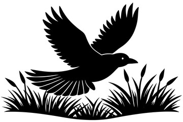 A black bird flying in the air over a field