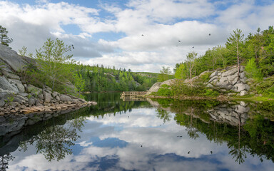 Obraz premium Serene Lake Reflections in a Forest Setting