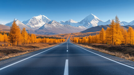 Fototapeta premium A picturesque road with a view of snow-capped mountains surrounded by a fall pine forest