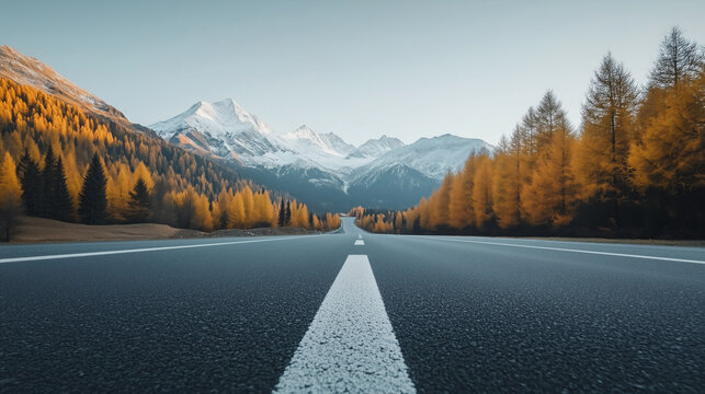 A picturesque road with a view of snow-capped mountains surrounded by a fall pine forest