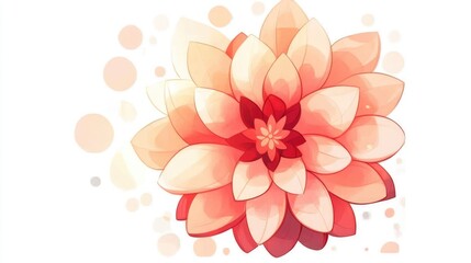 Fototapeta premium Orange Star Flower on White Background