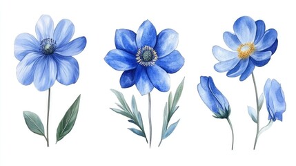 Watercolor blue flower for spring garden decoration wedding and nature theme