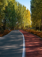 Colorful walking trails in the park in autumn