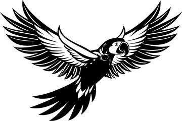  Beautiful bird flying in white background
