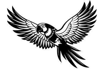  Beautiful bird flying in white background