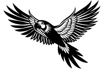  Beautiful bird flying in white background