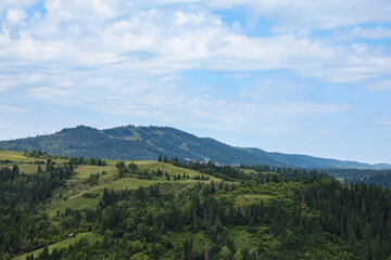 Fototapeta premium Beautiful view of forest in mountains under blue sky