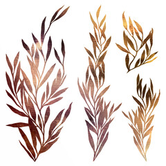 Underwater fantastic algae leaves set isolated on white background. Hand drawn abstract watercolor and digital illustration. 