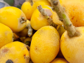 Loquat fresh fruit or japanese medlars yellow background 
