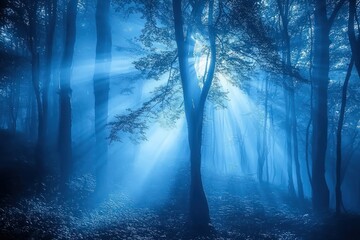 Obraz premium Enchanted blue forest bathed in fog and sunlight, creating a mysterious and mystical setting