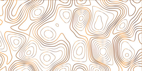 Obraz premium Topographic canyon geometric map relief texture with curved layers and shadow. abstract White background with a beautiful pattern, Topographic contour lines vector map seamless pattern vector. 