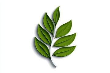 Naklejka premium Acacia leaf design in a minimalist style, with simple green lines against a clean white background