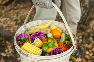 Zero waste, composting, bio waste concept. Farmer with vegetable and fruit food scraps, grass and flowers in bucket close-up, compost